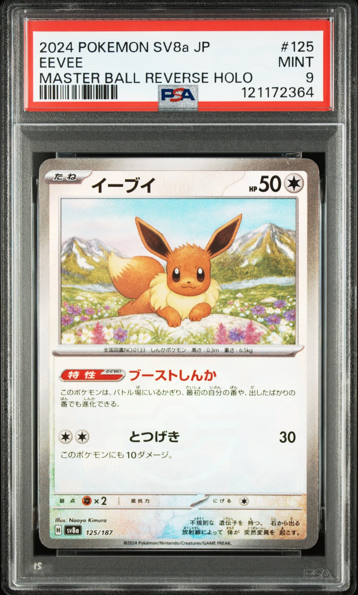 Eevee
