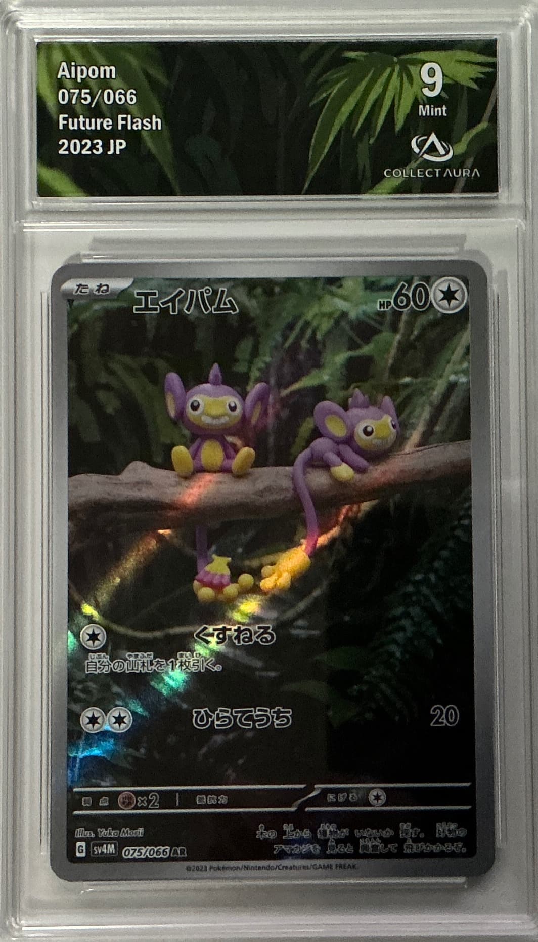 Aipom