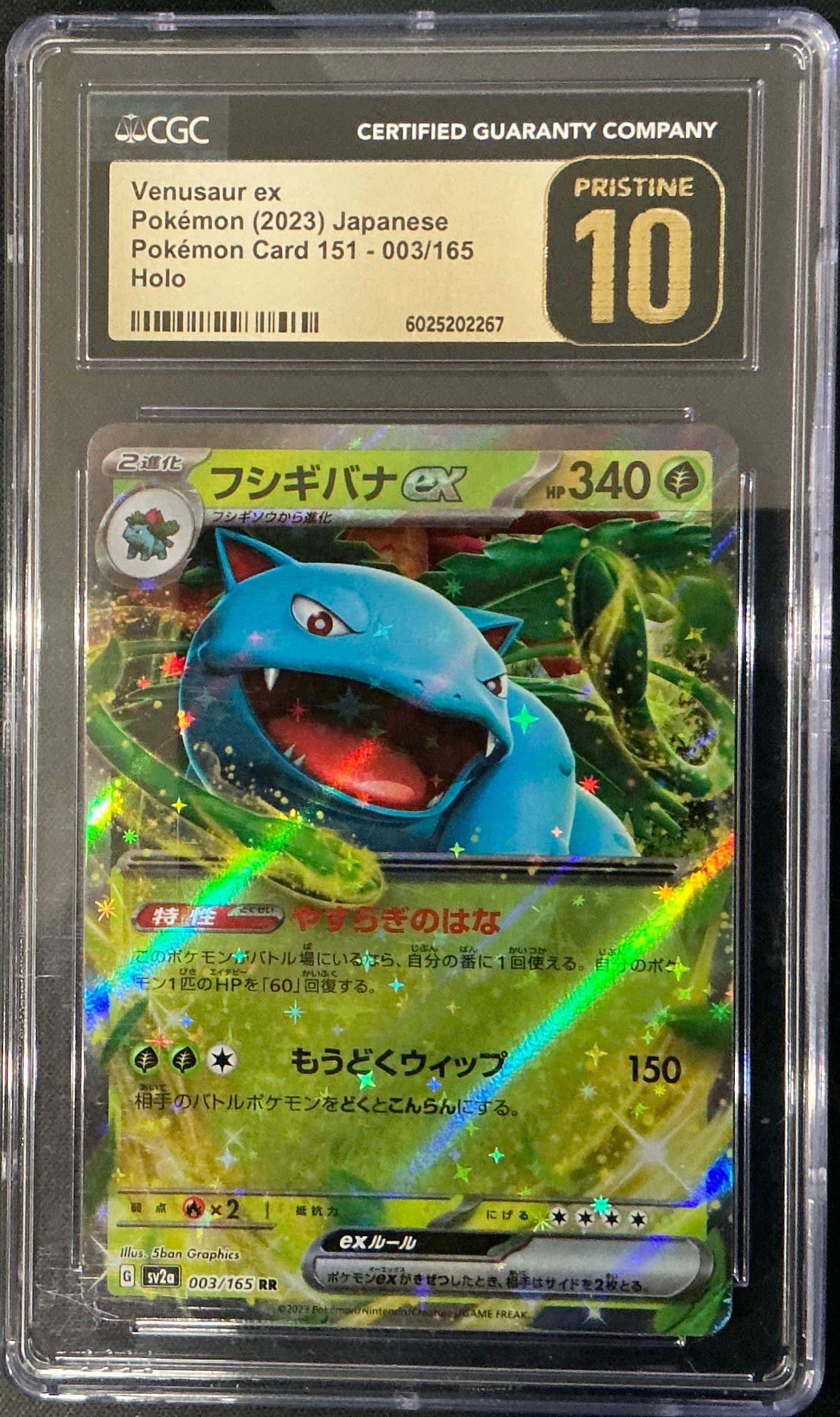 Venusaur ex